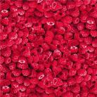 Raspberry 1/4yd