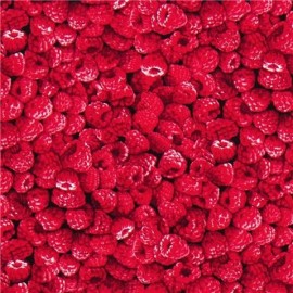 Raspberry 1/4yd